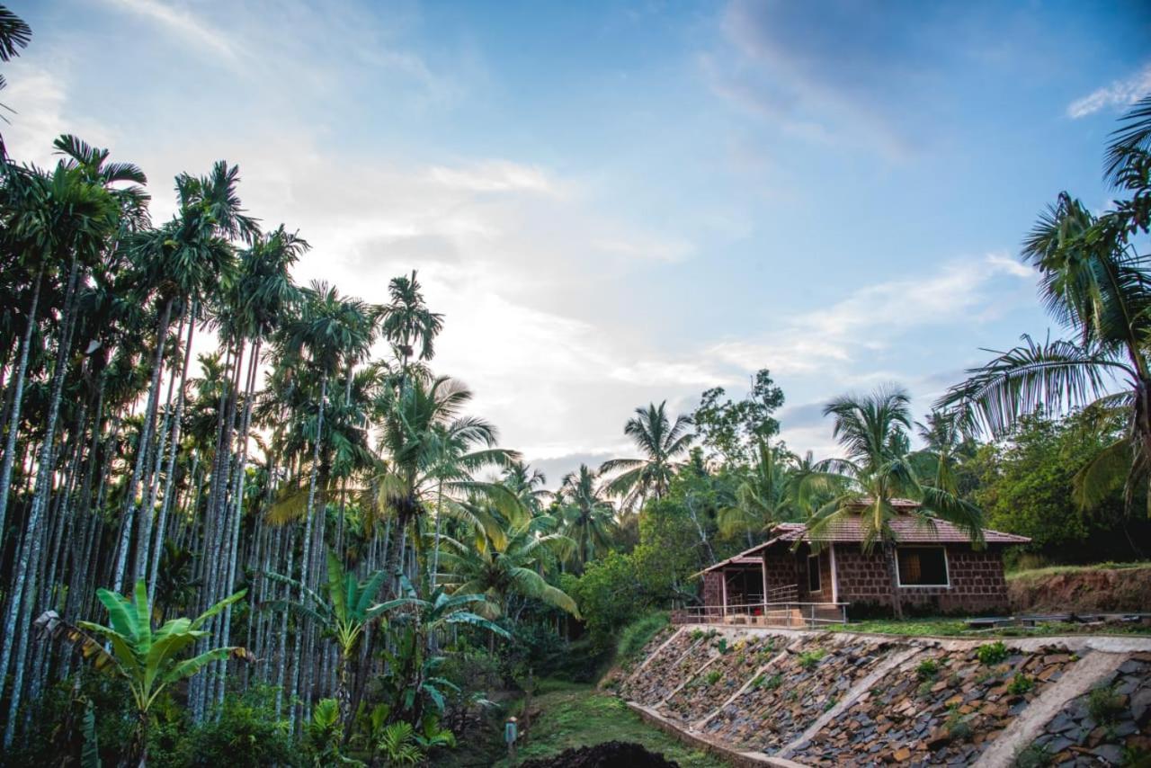 Dandeli Jungle Resort Экстерьер фото